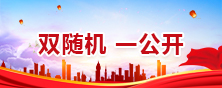 雙隨機一公開